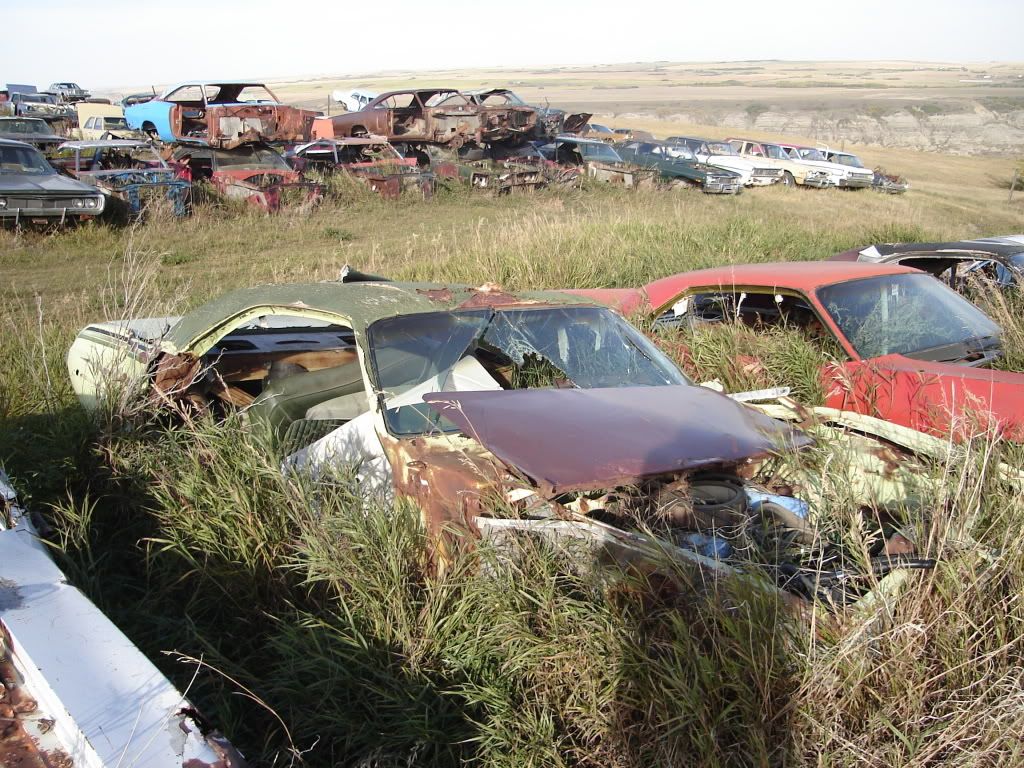 Alberta Auto Wrecker pics For A Bodies Only Mopar Forum